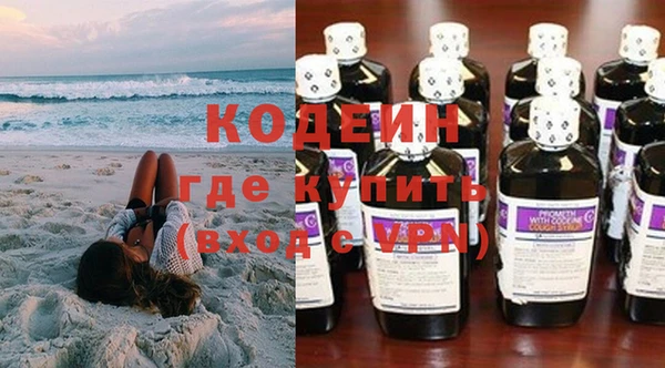 прущие грибы Абаза