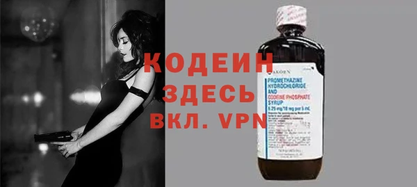 прущие грибы Абаза