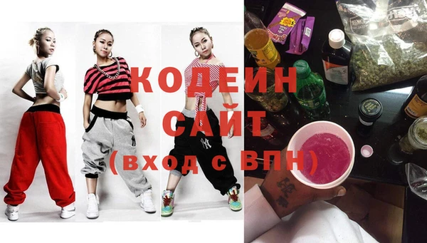 прущие грибы Абаза
