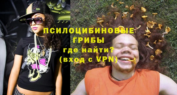 прущие грибы Абаза