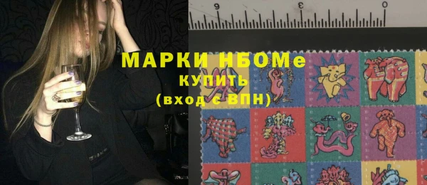 прущие грибы Абаза