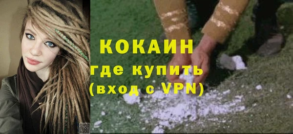 прущие грибы Абаза