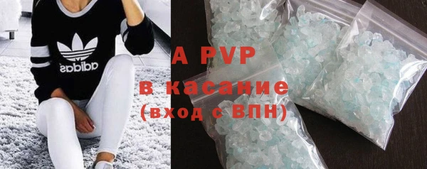 прущие грибы Абаза