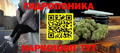 мдпв Камень-на-Оби