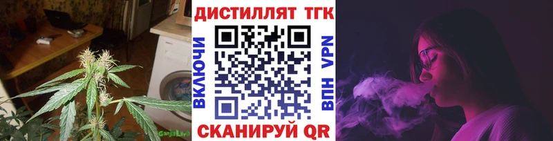 ТГК Wax  Хасавюрт 