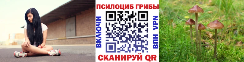Псилоцибиновые грибы прущие грибы Хасавюрт