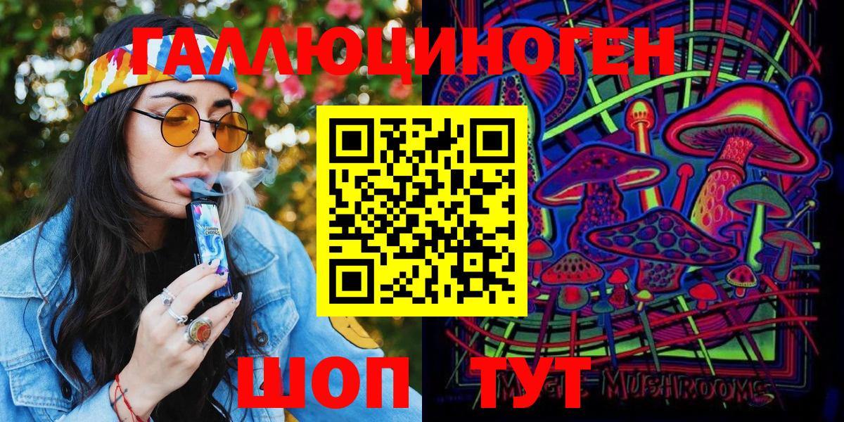 Псилоцибиновые грибы Psilocybe Хасавюрт