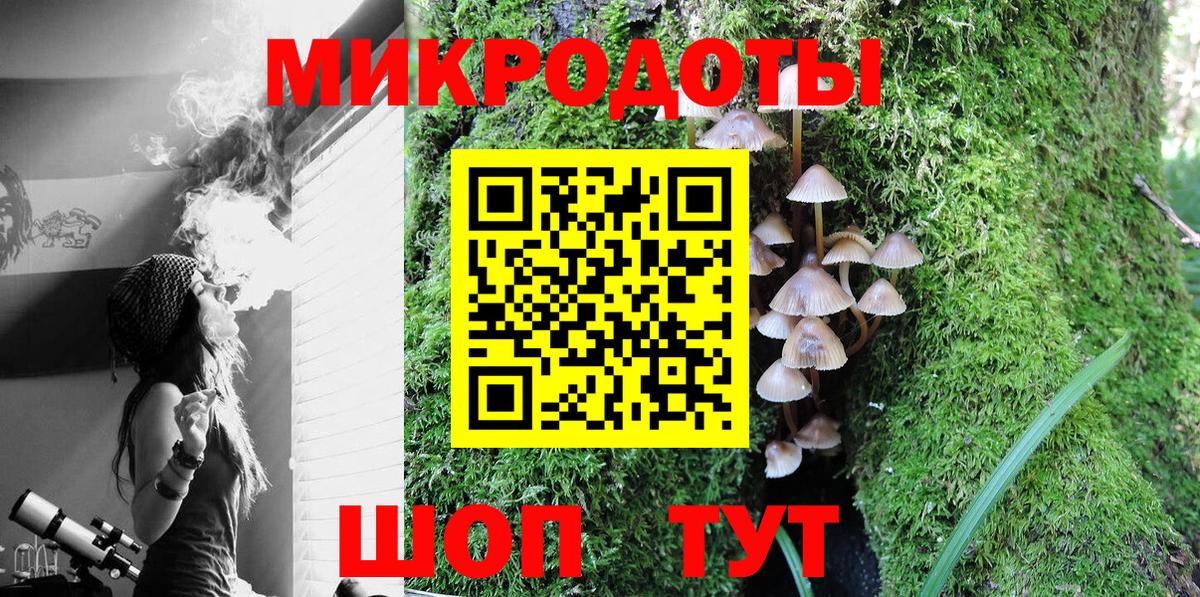 Хасавюрт  Галлюциногенные грибы Psilocybine cubensis  где можно купить   Вход с VPN 